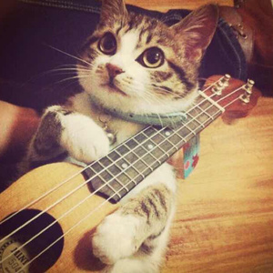 捷克天体主义AⅤ
